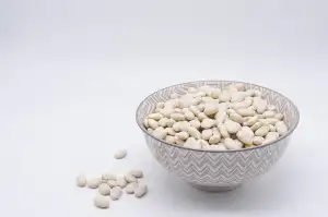 Protein Prasek